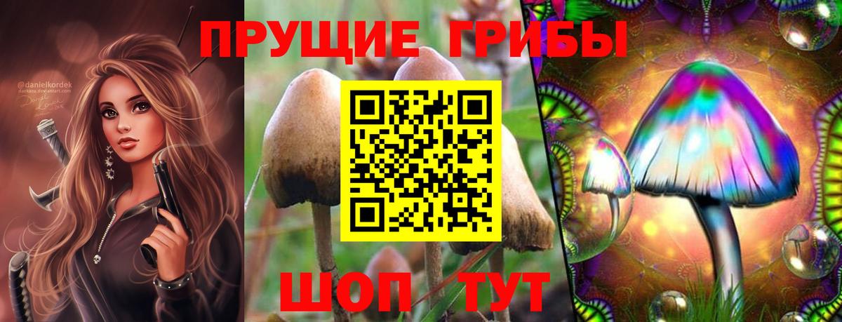 Псилоцибиновые грибы Magic Shrooms Донецк